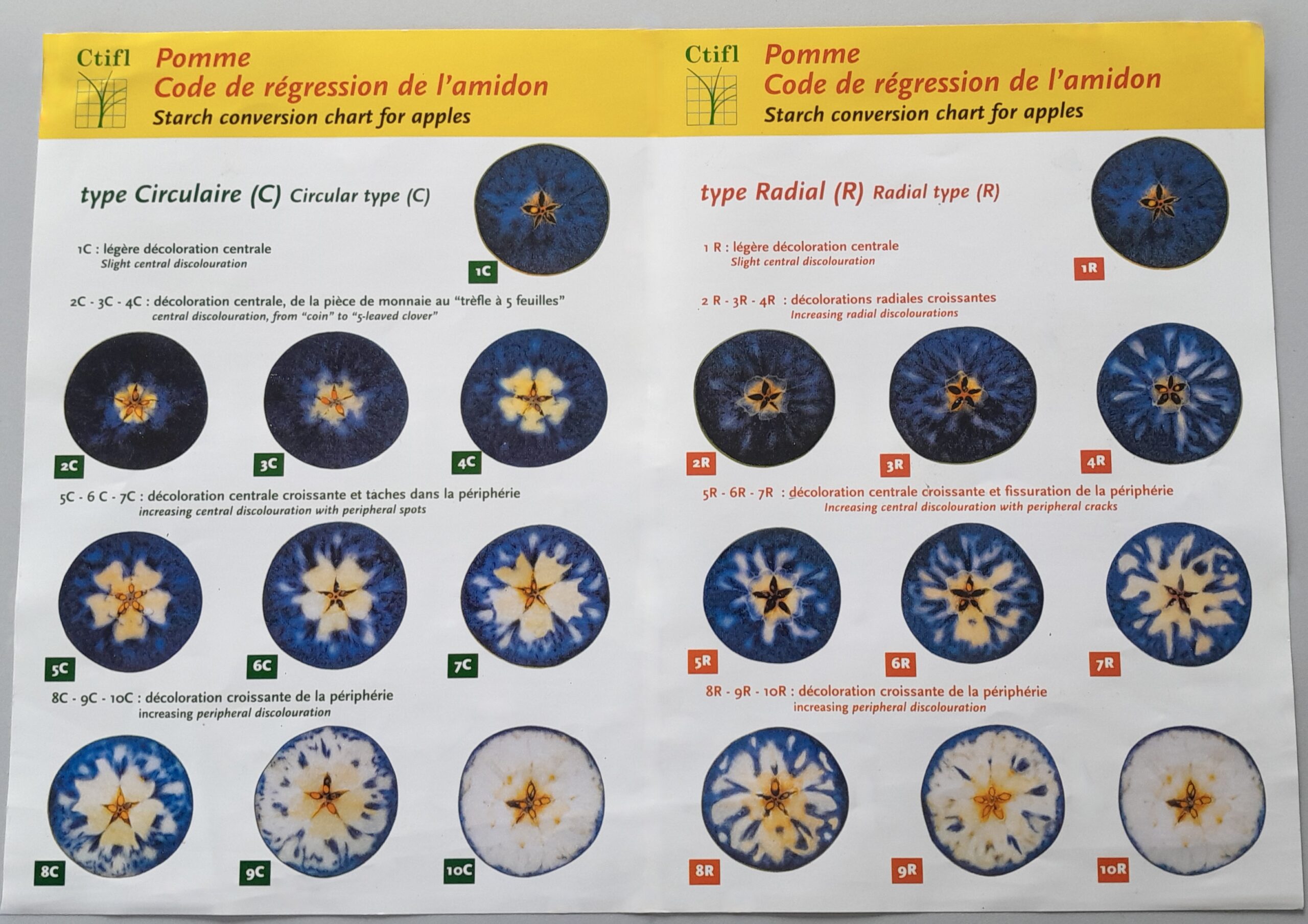 Planche test amidon – Pomme Planche test amidon - Pomme